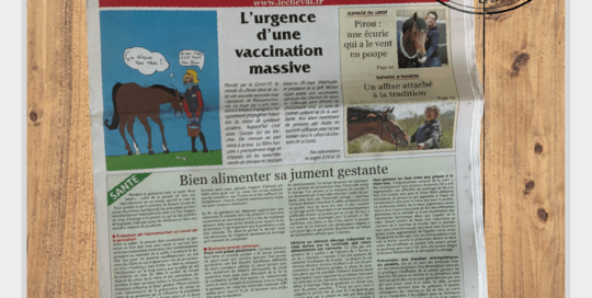Polaroid Journal Le Cheval illustration vaccination HVE