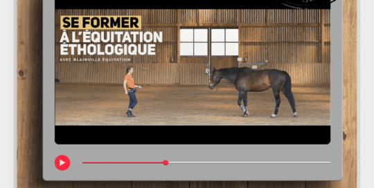 Polaroid Blainville Equitation vidéo de promotion de l'équitation éthologique